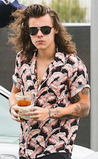 Harry Styles : harry-styles-1440702997.jpg