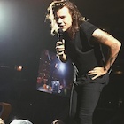 Harry Styles : harry-styles-1441814508.jpg