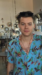 Harry Styles : harry-styles-1471385373.jpg