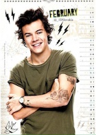 Harry Styles : harry-styles-1479670926.jpg