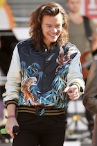 Harry Styles : harry-styles-1480107116.jpg