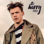 Harry Styles : harry-styles-1480107935.jpg