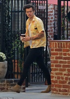 Harry Styles : harry-styles-1480348986.jpg