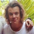 Harry Styles : harry-styles-1480605739.jpg