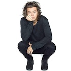 Harry Styles : harry-styles-1481044476.jpg