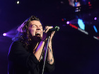 Harry Styles : harry-styles-1481740205.jpg