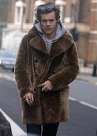 Harry Styles : harry-styles-1482330670.jpg