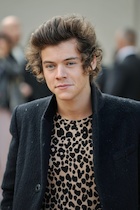 Harry Styles : harry-styles-1488060162.jpg