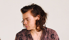 Harry Styles : harry-styles-1490214303.jpg