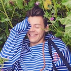 Harry Styles : harry-styles-1490551352.jpg