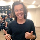 Harry Styles : harry-styles-1491156928.jpg