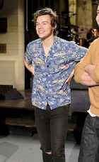 Harry Styles : harry-styles-1492206252.jpg