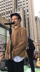 Harry Styles : harry-styles-1494697839.jpg