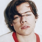 Harry Styles : harry-styles-1495648899.jpg