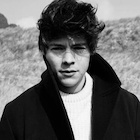 Harry Styles : harry-styles-1495820611.jpg