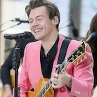 Harry Styles : harry-styles-1498092722.jpg