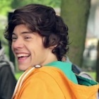 Harry Styles : harry-styles-1499027007.jpg