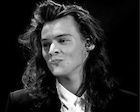 Harry Styles : harry-styles-1501047690.jpg