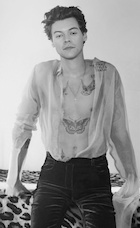 Harry Styles : harry-styles-1503169696.jpg