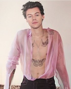 Harry Styles : harry-styles-1503169708.jpg