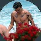 Harry Styles : harry-styles-1503169734.jpg