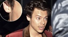 Harry Styles : harry-styles-1557169201.jpg