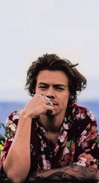 Harry Styles : harry-styles-1578525755.jpg