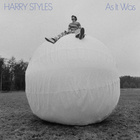 Harry Styles : harry-styles-1649369922.jpg