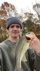 Aaron Carpenter in General Pictures, Uploaded by: webby