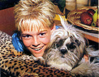 Aaron Carter : aari01.jpg