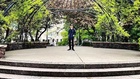 Aidan Gallagher : aidan-gallagher-1685643231.jpg