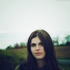 Alexandra Daddario : alexandra-daddario-1379110835.jpg