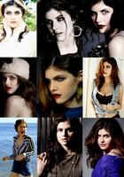 Alexandra Daddario : alexandra-daddario-1379112195.jpg