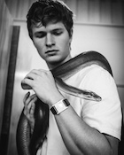 Ansel Elgort : ansel-elgort-1500290282.jpg