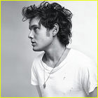 Anton Yelchin : anton_yelchin_1244651441.jpg