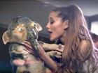 Ariana Grande : ariana-grande-1409329525.jpg