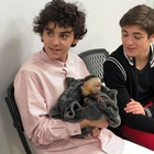 Asher Angel : TI4U1552089834.jpg