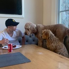 Asher Angel : asher-angel-1590108230.jpg