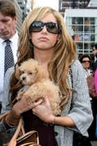 Ashley Tisdale : TI4U_u1214500338.jpg