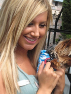 Ashley Tisdale : ashley_tisdale_1201023257.jpg