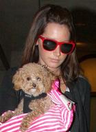 Ashley Tisdale : ashley_tisdale_1255203162.jpg