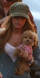 Ashley Tisdale : ashley_tisdale_1268935514.jpg