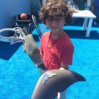 August Maturo : august-maturo-1410190213.jpg