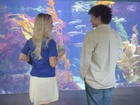 August Maturo in General Pictures, Uploaded by: bluefox4000