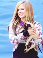 Avril Lavigne : avril-lavigne-1423936171.jpg