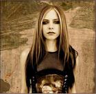 Avril Lavigne : avril_lavigne_1165161518.jpg
