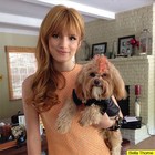 Bella Thorne : bella-thorne-1375112768.jpg