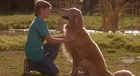Benj Thall in Homeward Bound: The Incredible Journey, Uploaded by: jawy201325