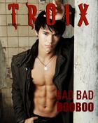 Booboo Stewart : boo-boo-stewart-1316384966.jpg