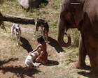 Brandon Baker in The Jungle Book: Mowgli's Story, Uploaded by: ninky095